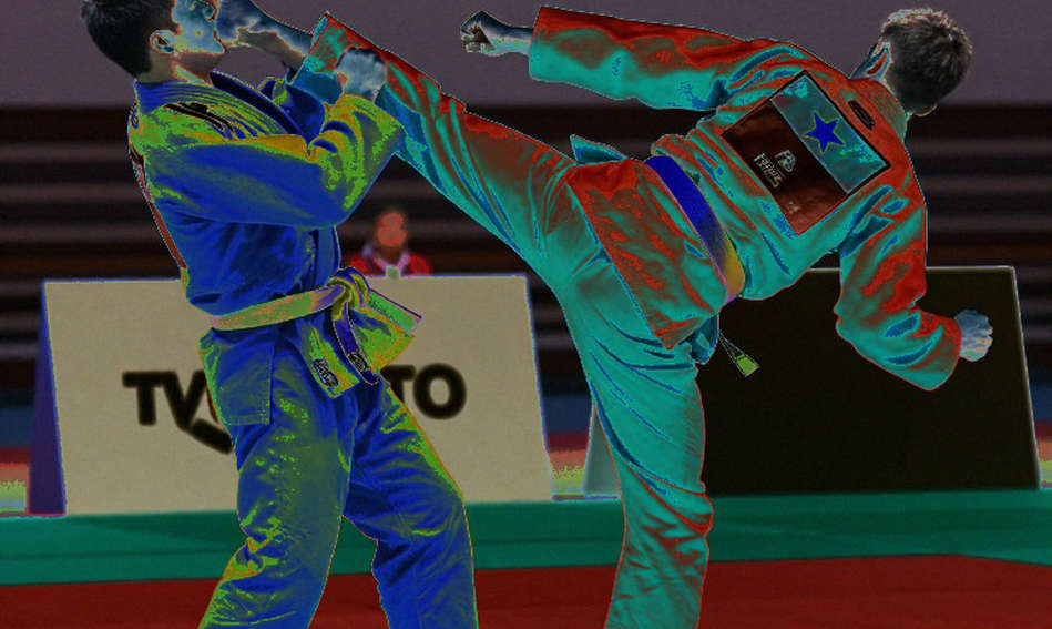 Fighting Without Data: When Combat Sports Analysis Starts From Zero Fighting Without Data: When Combat Sports Analysis Starts From Zero