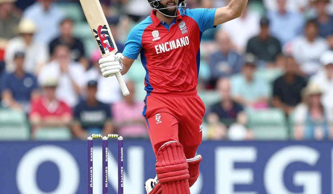 শূন্য ইনপুটের ময়নাতদন্ত: যখন তথ্যবিন্দুর অনুপস্থিতিই সবচেয়ে জোরালো তথ্য শূন্য ইনপুটের ময়নাতদন্ত: যখন তথ্যবিন্দুর অনুপস্থিতিই সবচেয়ে জোরালো তথ্য